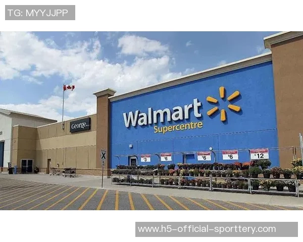 科尔的抉择：从被低估到掌控未来